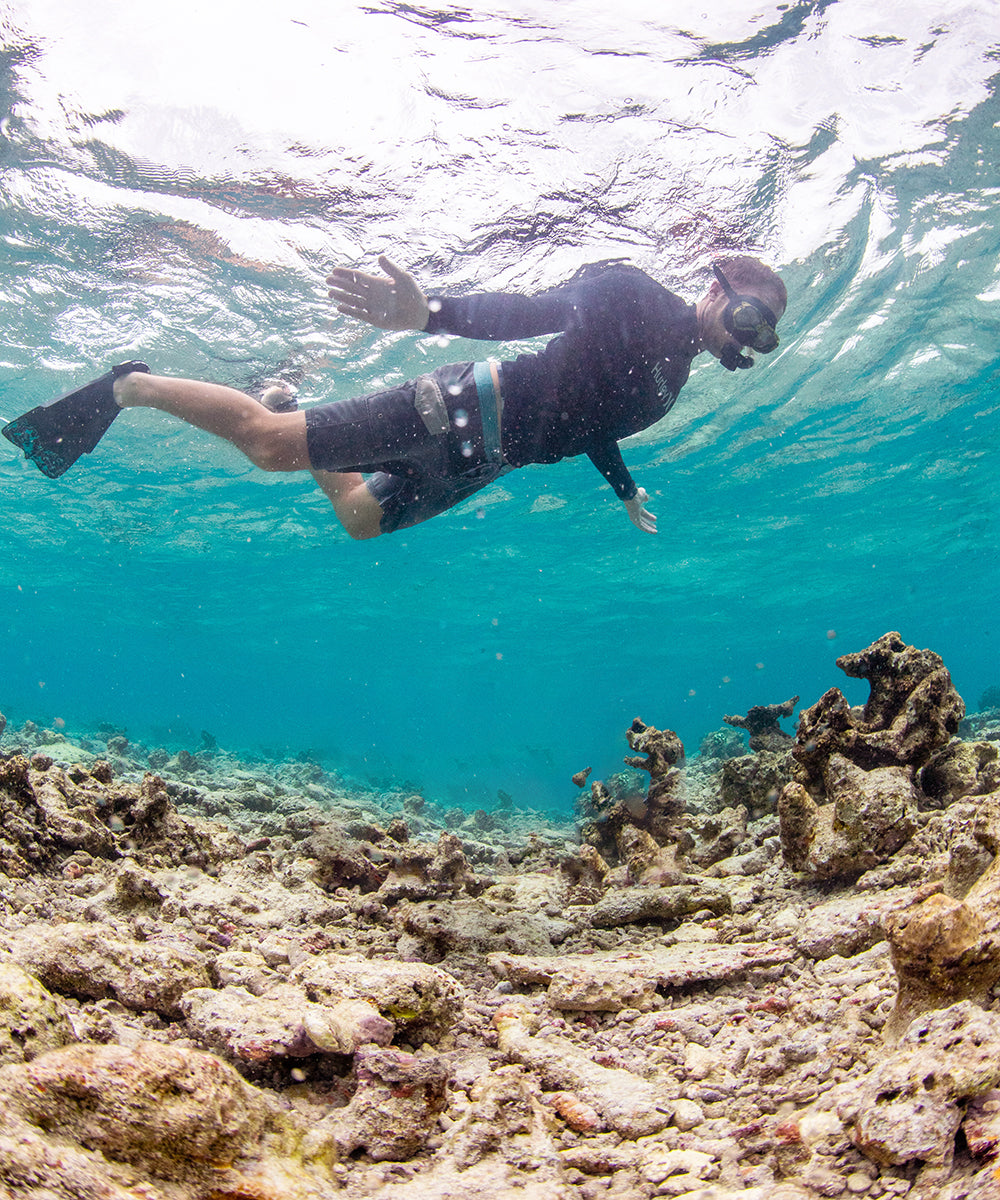 Snorkel Dead Reef